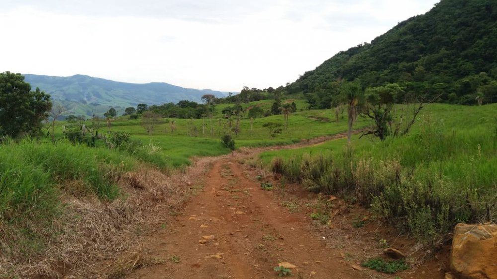 Fazenda - Venda - C�ndido de Abreu - C�ndido de Abreu - PR
