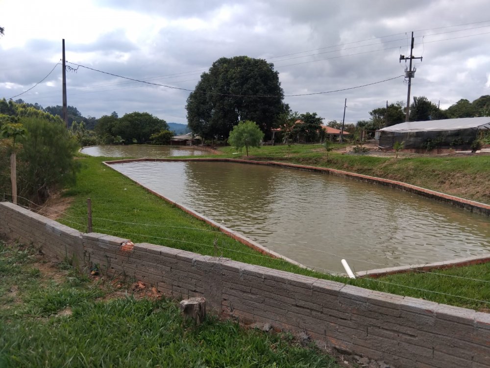 Chácara - Venda - Centro - Imbaú - PR
