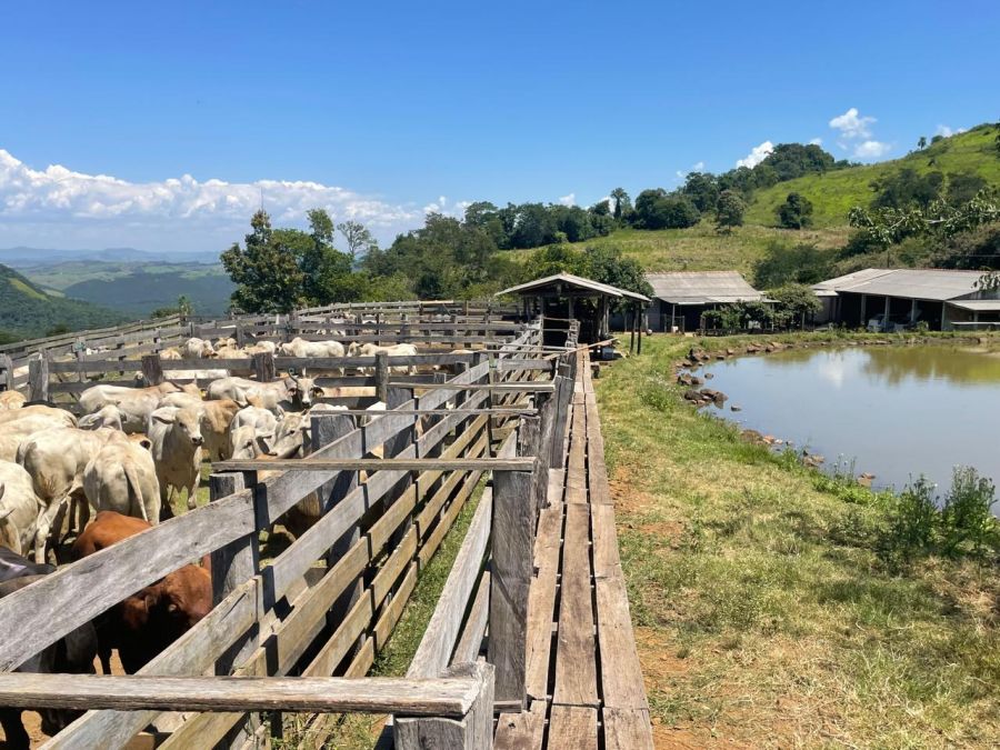 Fazenda - Venda - Cavinha - Reserva - PR