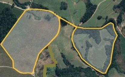 Fazenda - Venda - Marins - Reserva - PR