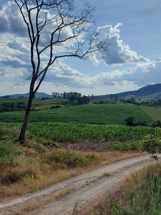 S�tio - Venda - Chapad�o - Reserva - PR