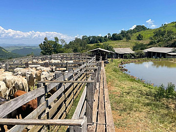 FAZENDA SANTA HELENA